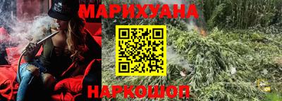 сатива Аргун
