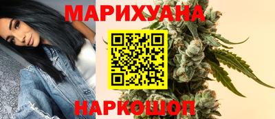 сатива Аргун