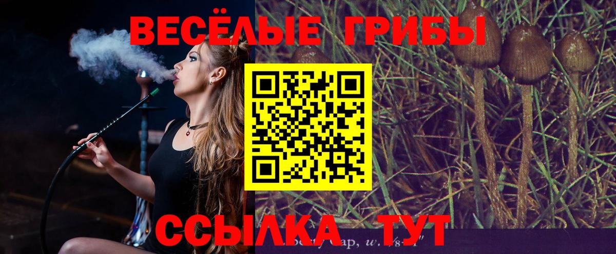 Галлюциногенные грибы ЛСД  Вход с VPN  Ачинск  Галлюциногенные грибы MAGIC MUSHROOMS 